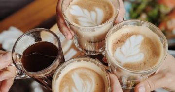 Cups of coffee people cheering a healthy lifestyle choice, journey of losing weight, Slow living, Healthy lifestyle, Healthy living, Live with purpose,